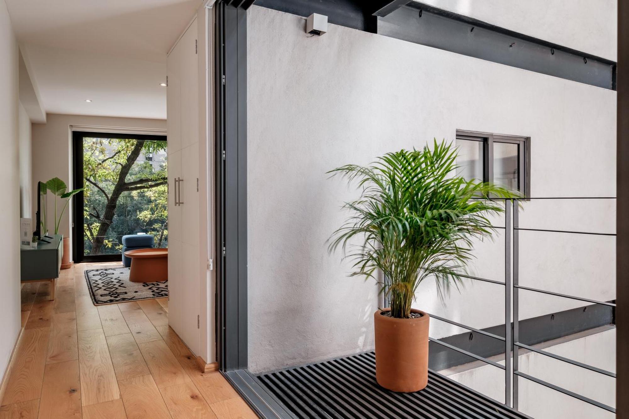 Modern Apartments La Condesa Pet Friendly Mexico City Exterior photo
